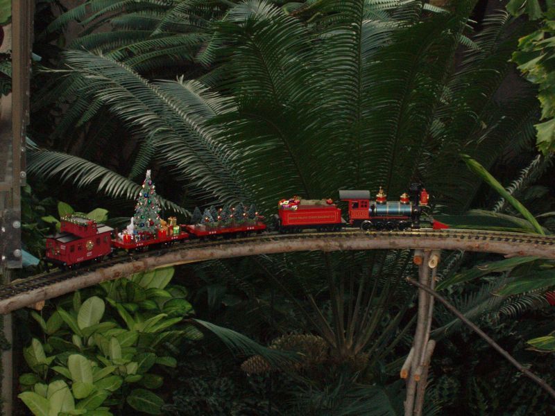 Photo of Christmas Garden Railroad