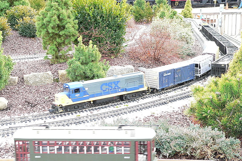 Photo of CSX in Large Scale.