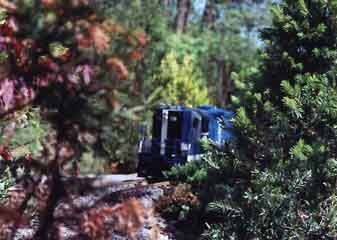 Photo of GP9 #1709 working it's way in the woods.