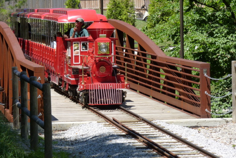 Photo of Ride the Zoo Trains