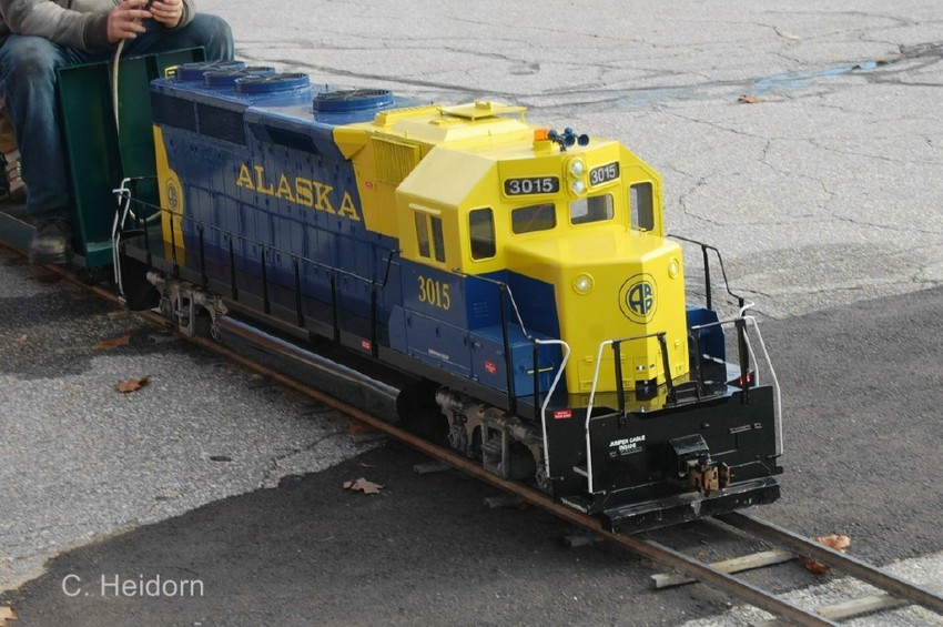 Photo of Alaska Rail in Bedford NH
