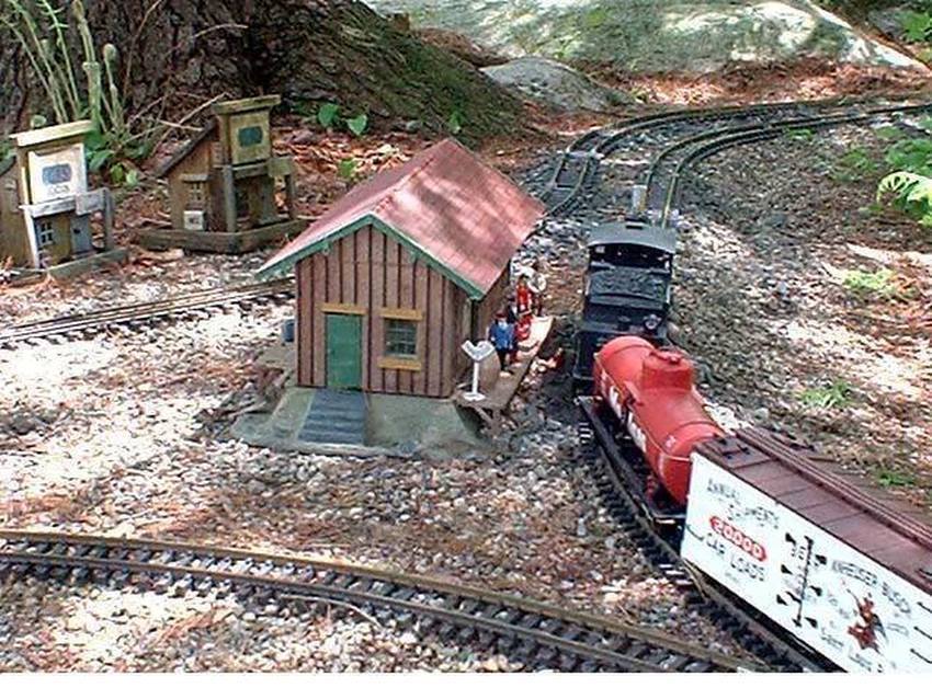 Photo of G scale freight train