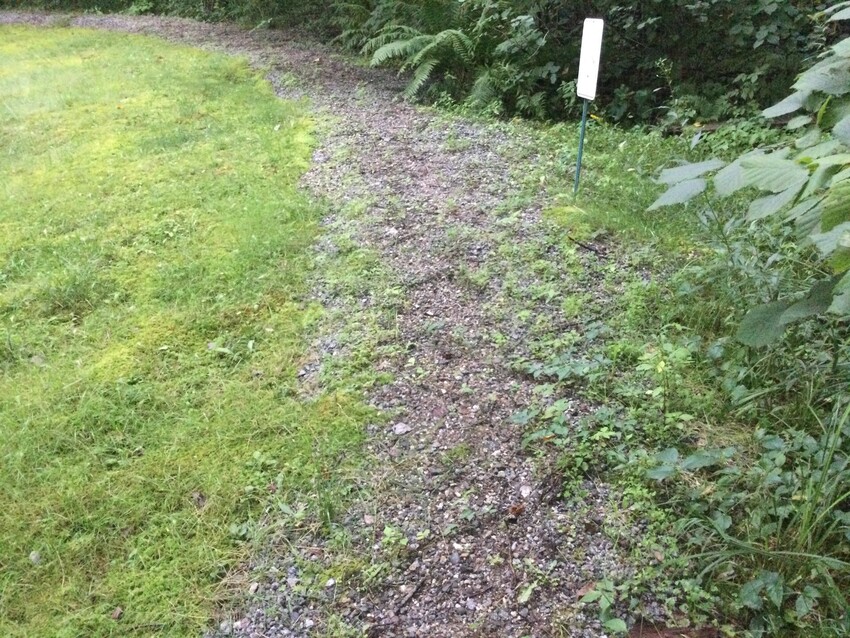 Photo of Track gone